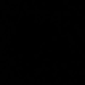 Meet your Posher, Karol mariana